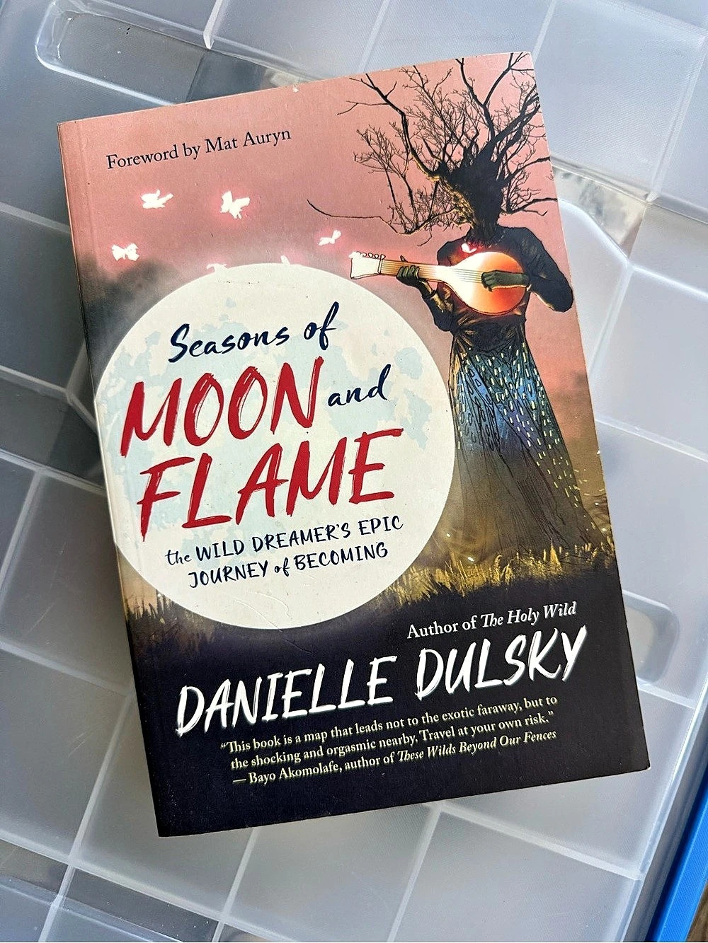 Seasons of Moon and Flame: The Wild Dreamer's Epic Journey of Becoming